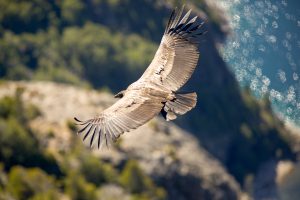 Earthkeepers opleiding online