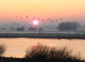 ijssel 2