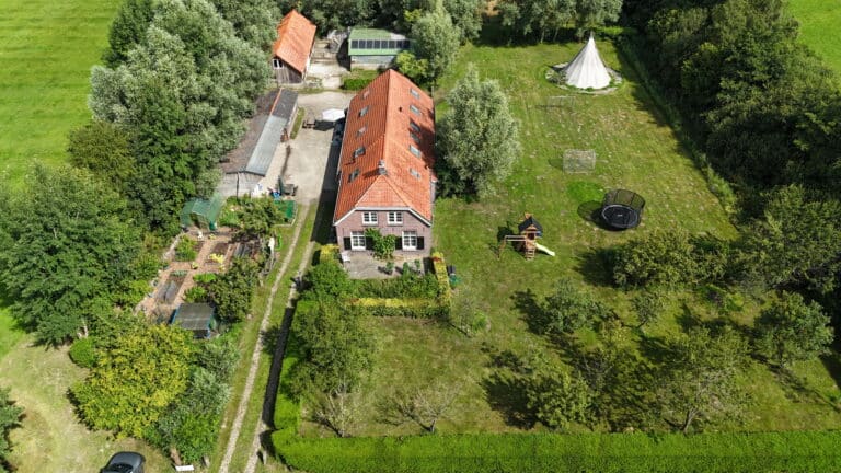 Bakkershoeve Blue Kachina