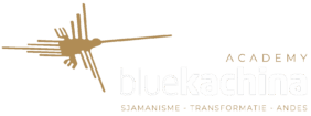Blue Kachina Academy Logo