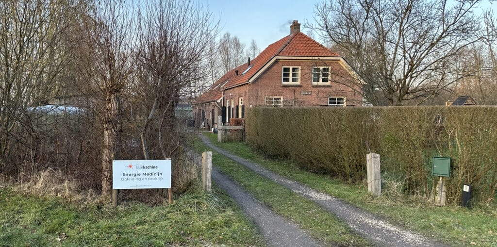 Blue Kachina - Energie Medicijn