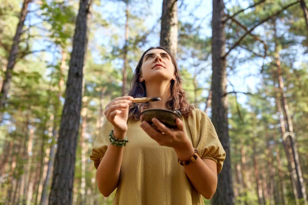 Sjamanisme online leren - na 4 weken Sjamanisme online leren - na 4 weken